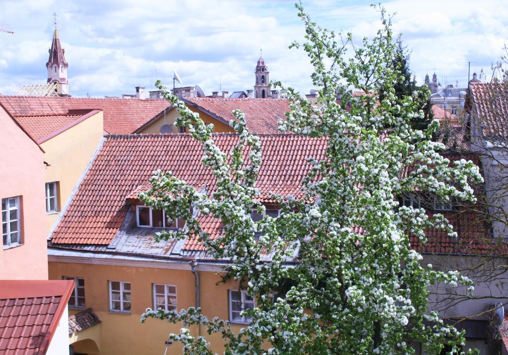 Old Town Apartment Antokolskio VNO Extérieur photo
